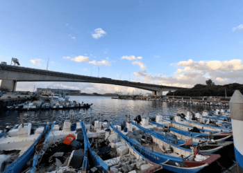 八里秘境單車行 秋日夕陽美景搭配海味饗宴