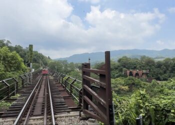 影音/樂齡旅遊體驗 展現凰金黃金年華