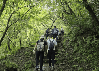 探索家山城鎮魅力 12/1微笑山線Party Day帶你感受新北多元文化