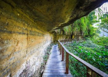 嘉義縣消暑出遊首選　推薦竹坑溪步道、觀音瀑布兩大景點