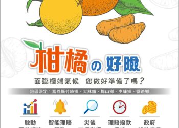 113年柑橘保險開賣　農民最低自付2成即享保障