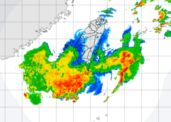 地震＋大雨土壤鬆動　高雄澄清湖路樹倒塌壓死遊客