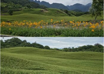 後山小調/六十石山遭強震震損山路將竣工　金針花季蓄勢待發