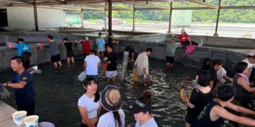 第八屆蝦摸節8月16日登場　摸蝦、農遊闖關與漆彈體驗一次滿足