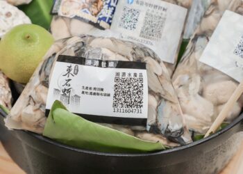 「東石蚵-營業中」啟動　邀全國民眾吃牡蠣、抽iPhone