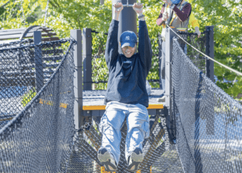 宜居城市新亮點 平鎮運動公園改造後正式啟用