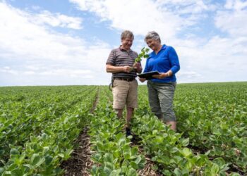 全球平均氣溫屢屢創新高！ 美國黃豆農民力推「氣候智慧型農業」護地球