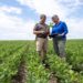全球平均氣溫屢屢創新高! 美國黃豆農民力推「氣候智慧型農業」護地球