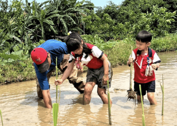 113年度幼兒園健促獲獎數全國第一 新北健康促進從幼扎根