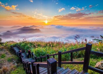 阿里山日出音樂會23周年登場！消費滿額享精品咖啡與高山茶抽獎