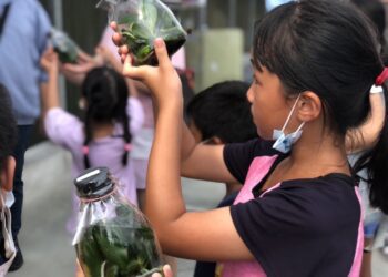 嘉義縣鹿草鄉特色農遊體驗 一日小農夫手作好好玩