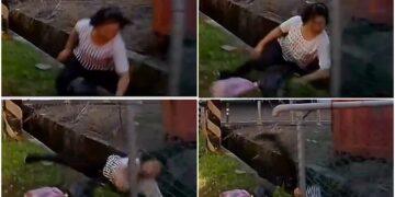 影音/宜市婦人墜落路邊深溝 清潔隊員即刻救援