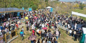 「潮風鈴・黃花瘋音樂市集」3/7、3/8浪漫登場　沉浸金黃花海音樂交融