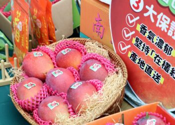 全台最大芒果產區盛事起跑！芒果節六大主題、九大飯店聯手甜蜜接力