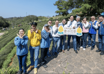 龍潭魯冰花海綻放 張善政邀民眾賞花體驗客庄風情