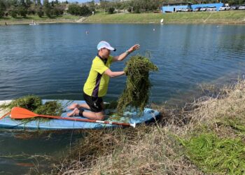 提升水域活動安全 臺東水協動員協助清除活水湖水草