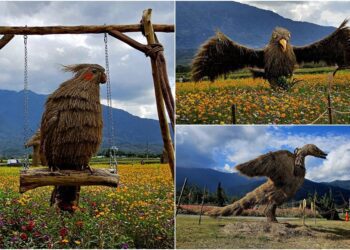 後山小調∕富里鄉稻草藝術季吸客　地方農特產賺翻了！
