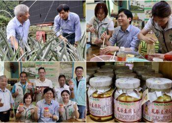 林國漳體驗鳳梨豆腐乳製作　看見在地農業的無限可能
