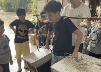 春節親子遊必去 新北三芝蜜蜂導覽、多肉DIY等你來體驗