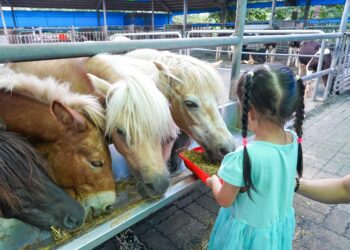 嘉義縣中埔鄉農遊趣　推薦親子一日遊