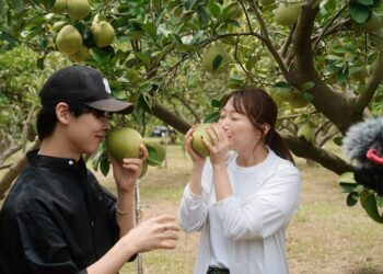 登山海   伴人文   與日本百萬網紅苗栗農村探險趣！