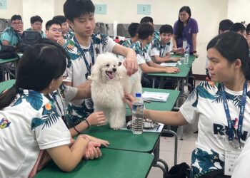 馬國高中生遊學團參訪元培醫事科大　體驗寵物保健與新生兒照顧