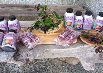 影音/酸甜好滋味 屏東響林社區枯里珍冰棒和果汁超搶手