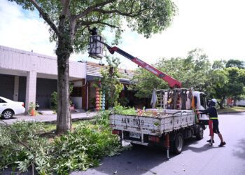   凱米颱風逐步接近  市公所修樹整備因應