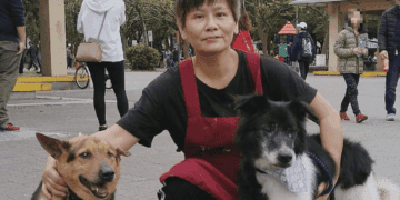 新北動物之家「最美身影」 志工隊長黃新23載耕耘 號召民眾加入志工行列