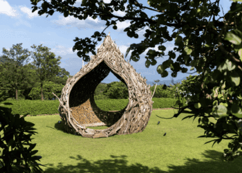 線上分享、線下開箱 新北文化局推「藝箱交流站」 邀您深度體驗北海岸人文藝術