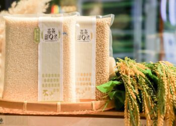 「嘉義鮮Q米」登場 中、日、韓料理業者齊聚試吃