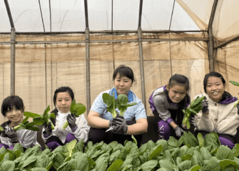 新北青農食農教育 愛心義賣助社福