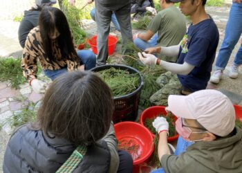 推展精油產業 林保署開辦雙連埤香氛體驗集訓
