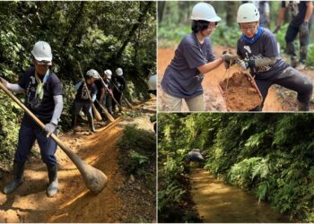 影音/就地取材+適地適用工法 雙連埤古水圳修舊如舊
