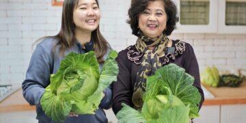 冬天高麗菜最脆甜！新北市府攜手果菜公司推廣 買當季正當時