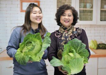 冬天高麗菜最脆甜！新北市府攜手果菜公司推廣 買當季正當時