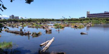 打造原生魚類安居家園 林保署宜蘭分署邀民眾一齊來釣魚