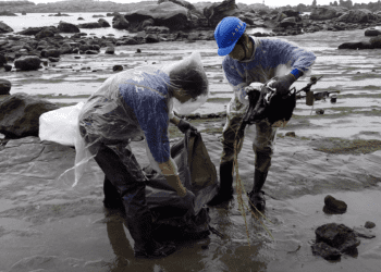 油污持續蔓延北海岸 新北持續公私協力應變除污