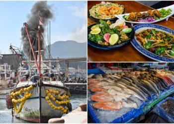 五感體驗＋知識力　頭城鱻魚祭大溪直銷現煮好風味