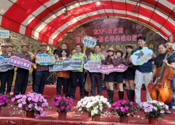 影音/感受「四月雪」的魅力　彰化福田桐花祭 保證詩情畫意