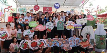 2025番路柿子節4日展開 新發表柿子快速脫澀專利