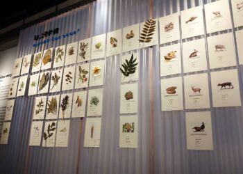 三地門鄉飲食特展《有一種味道我很想念》 即日起至5/31盛邀民眾參觀