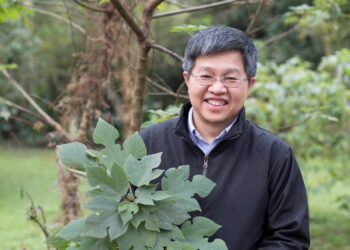 重「構」臺灣原住民族與南島遠古文化生活面貌 見證花蓮多元文化之美