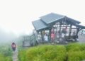 嘉義梅山二尖山步道半日輕旅行　盡享山林美景與美食