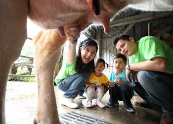 迎新年農業易遊網全新改版 逛網站查春遊資訊填問卷抽大獎