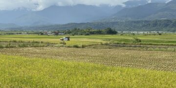 鳳凰颱風逼近 花縣府籲農友嚴防災害