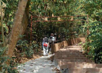 嘉義市連假旅遊攻略　戶外踏青、藝文展覽與夜間魅力一次收錄