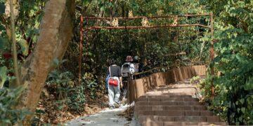 嘉義市連假旅遊攻略　戶外踏青、藝文展覽與夜間魅力一次收錄