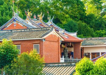 228連假春遊彰化　賞李花、櫻花盛美虎山巖 成為最熱門觀光景點