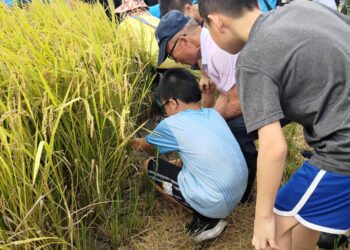友善耕作保育棲地 打造金山完善生態綠網
